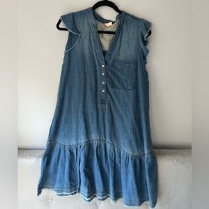 Anthropologie's Pilcro Collection Denim Mini Dress